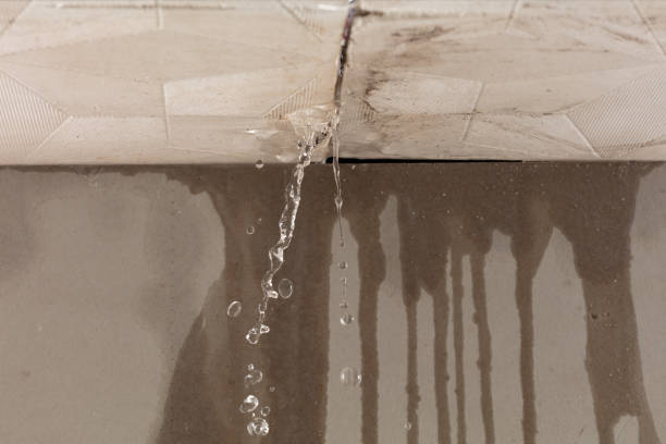 Professional Water Extraction technician working in Springfield, NJ
